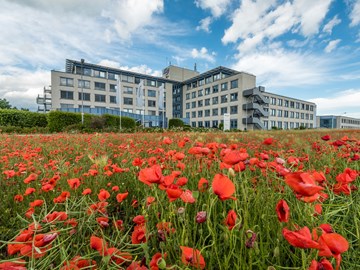 MITNETZ-Standort Kabelsketal mit Mohnblumen im Vordergrund MITNETZ-Standort Kabelsketal mit Mohnblumen im Vordergrund