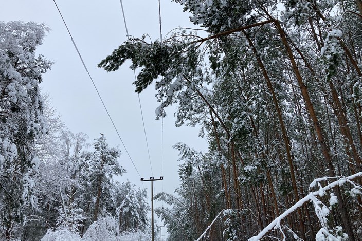 180123 MSF Greifenhain Pritzen 001