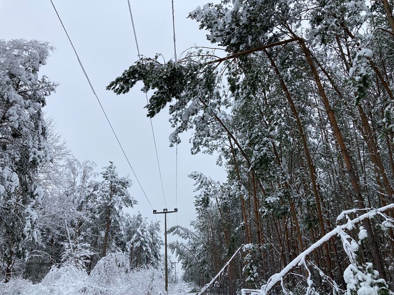 180123 MSF Greifenhain Pritzen 001