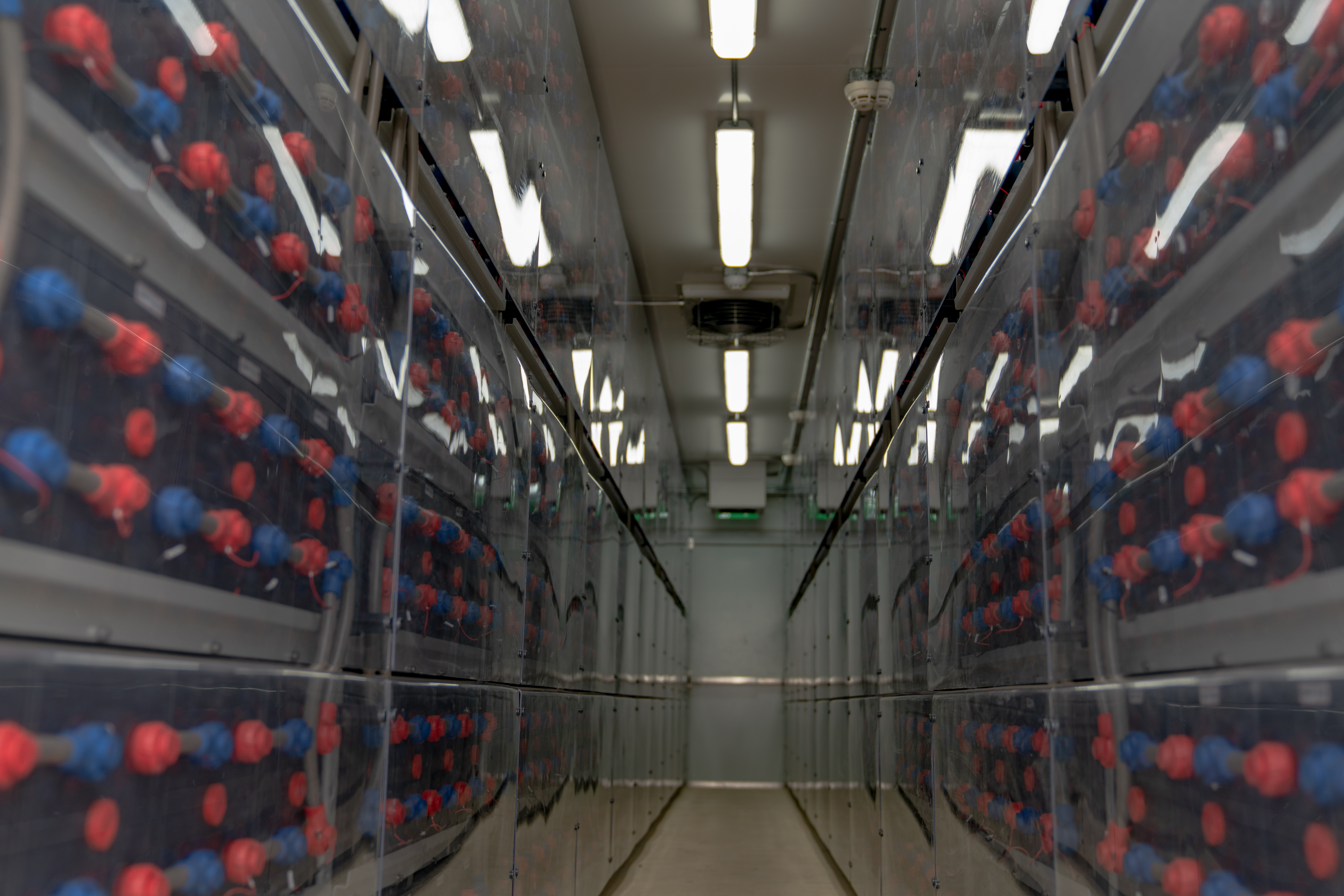 190504enviaM_BatterieSpeicherBennewitz-0677