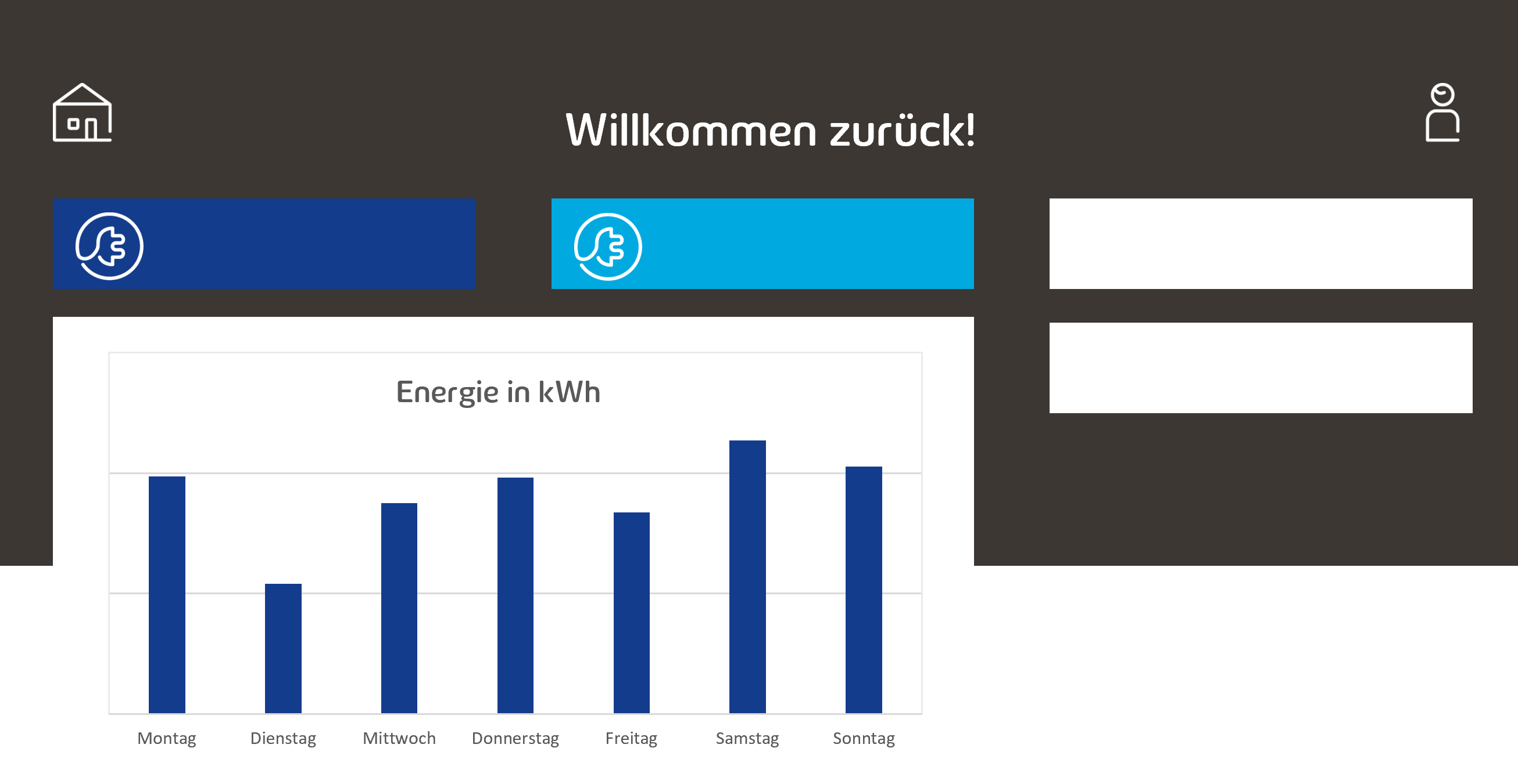 IT-Backend Elektromobilität