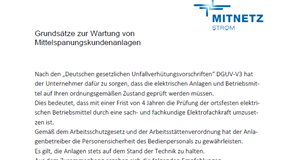 Grundsätze Wartung MS Grundsätze Wartung MITNETZ