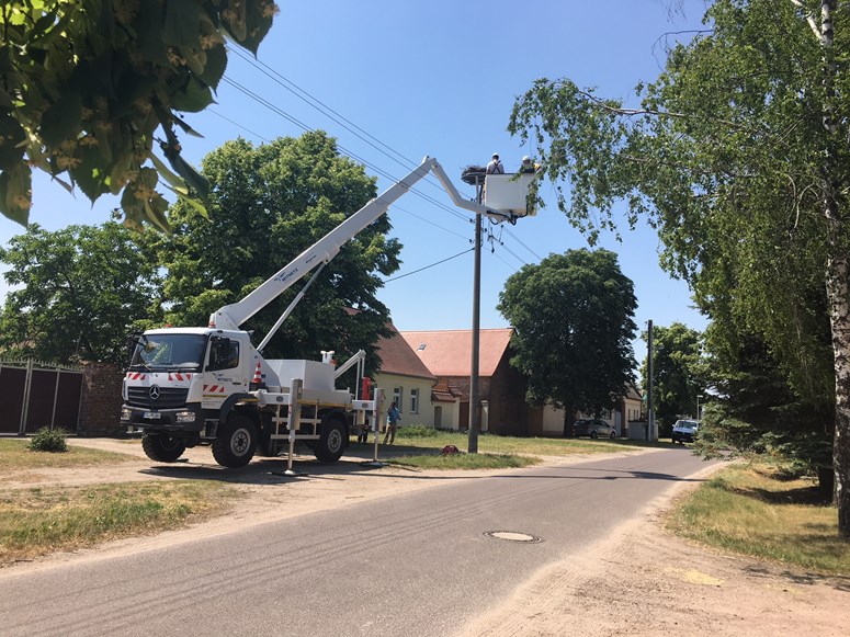 MITNETZ STROM hilft Storchenpaar MITNETZ STROM hilft Storchenpaar
