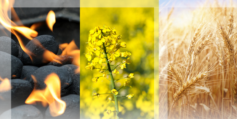 Ländliche Dienstleistungs- und Handelsgenossenschaft e.G.