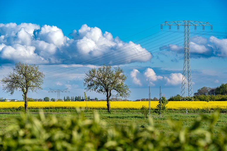 stromtrasse-kabelsketal-72