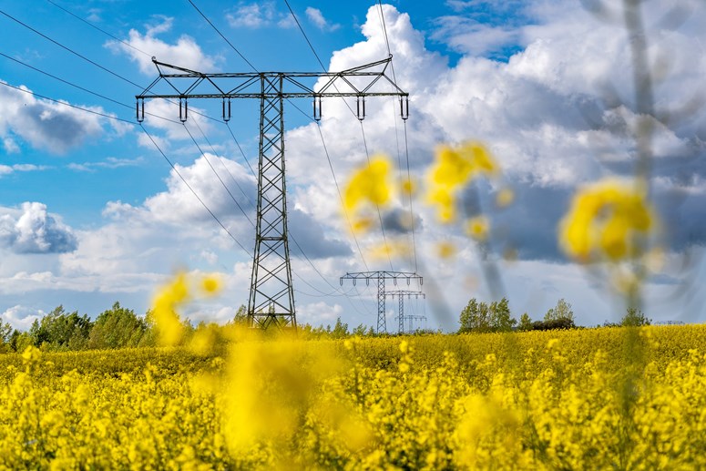 stromtrasse-kabelsketal-raps-72