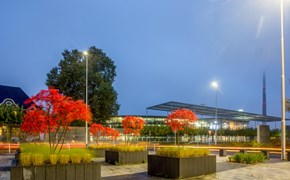Strasse_Platz_mit_Blumenkübel_Gewerbe Strasse_Platz_mit_Blumenkübel_Gewerbe