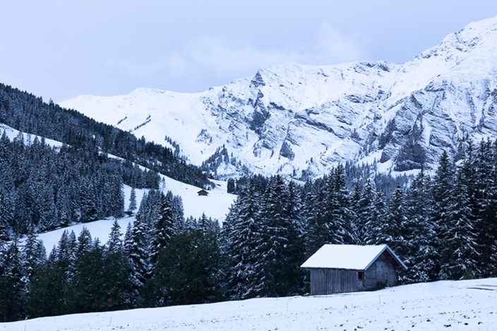 weihnachten-david-köster weihnachten-david-köster